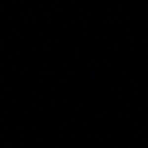 Meet your Posher, Abraham